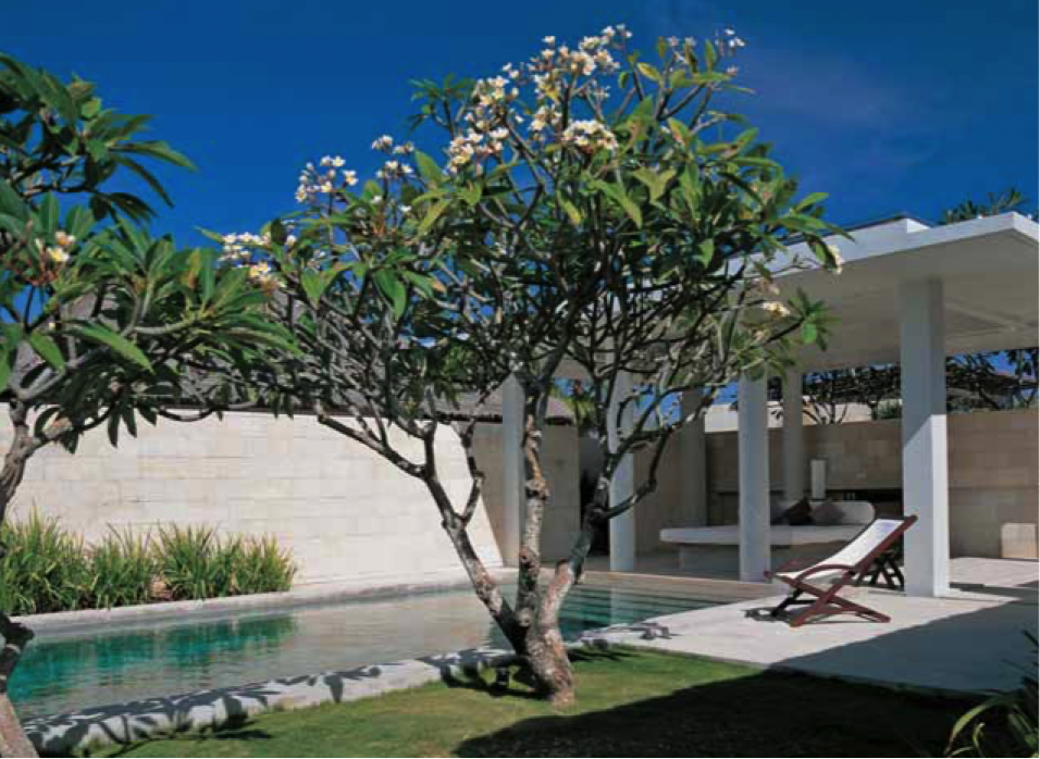 Indonesia is the place to see this&nbsp;year